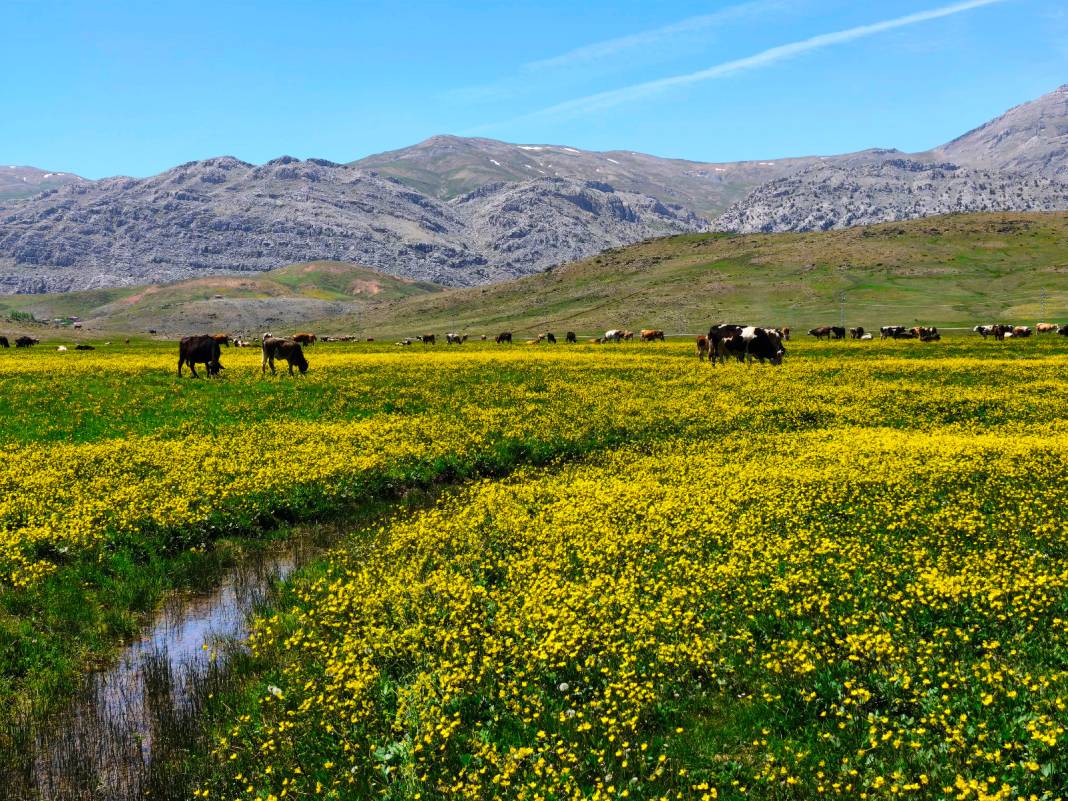 Konya’nın cennet köşesi baharı böyle karşıladı 9